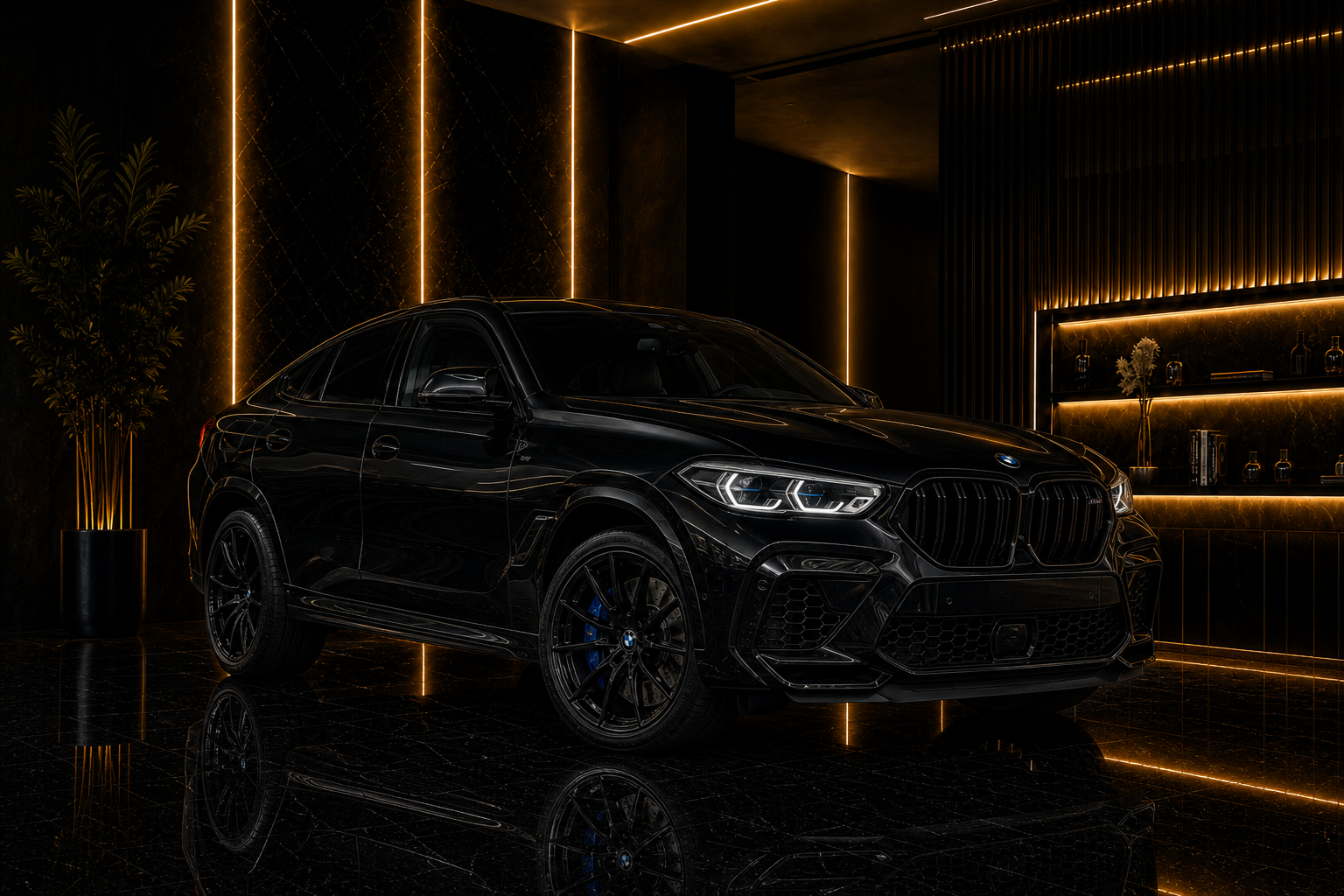 BMW X6M